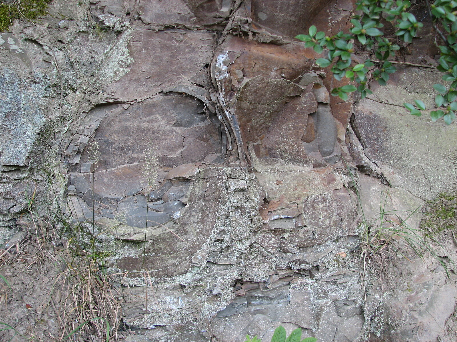Knollenartige Gebilde an Felswand
