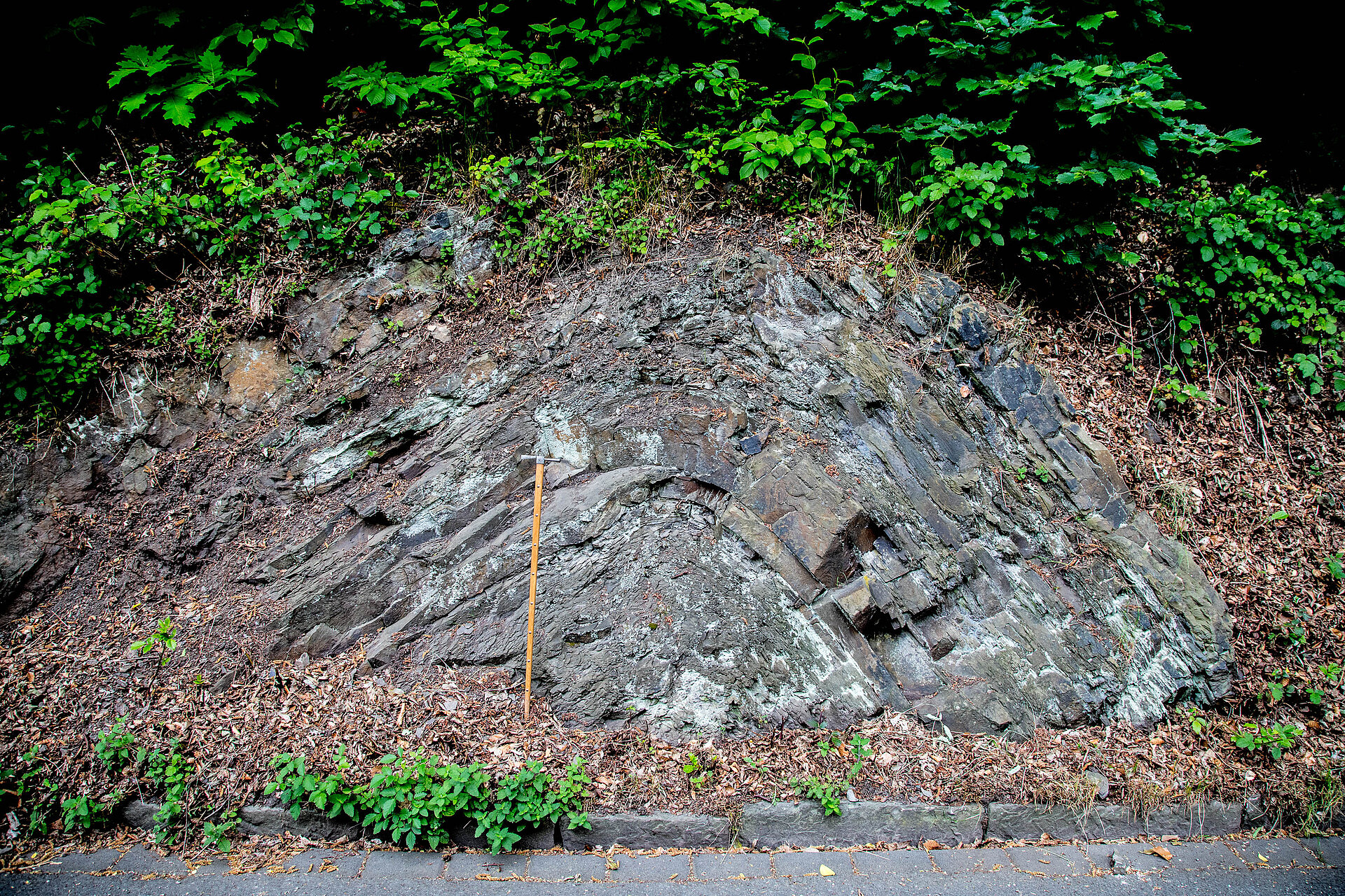 Nach oben gebogene Falte im Gestein