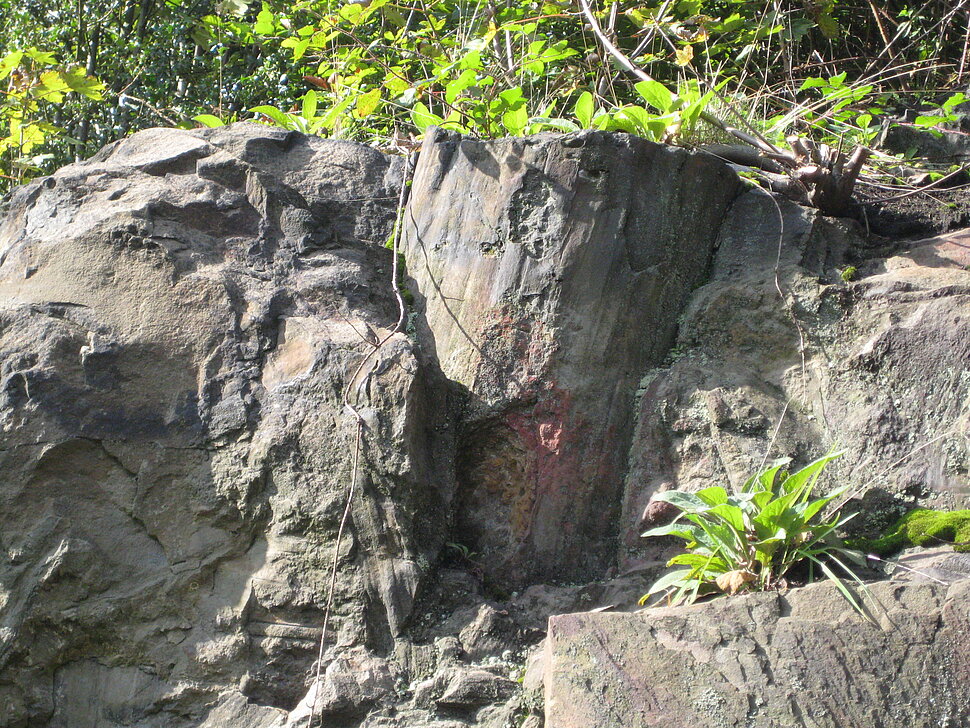 Versteinerter Baumstumpf in Felsen.