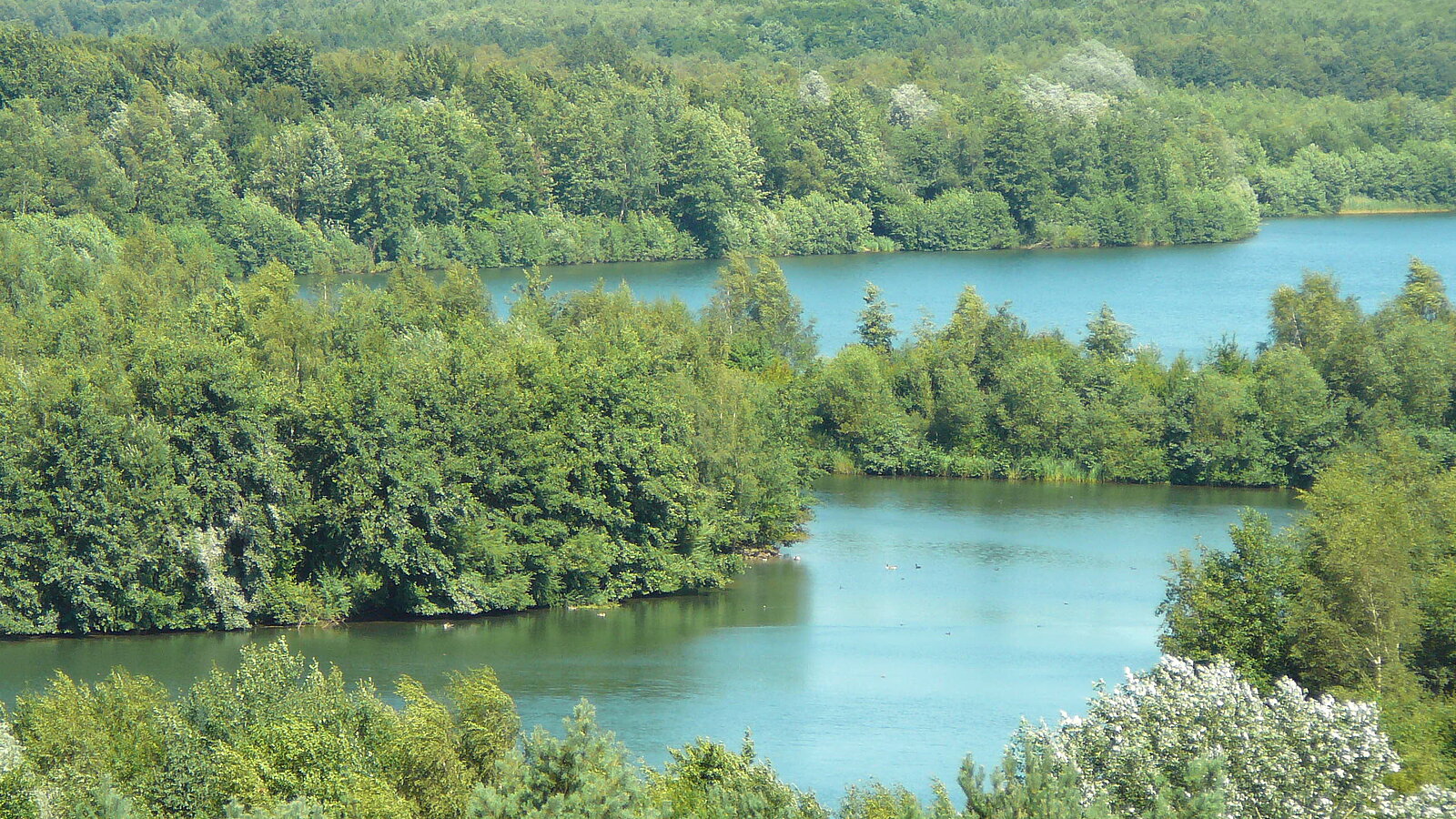 Heidesee, Kircheller Heide, 24.07.2008