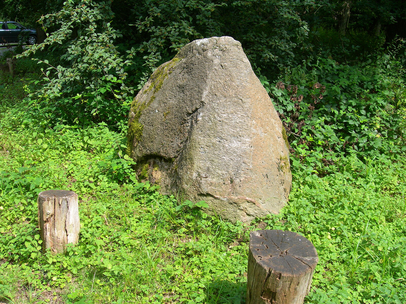 Felsblock am Waldrand