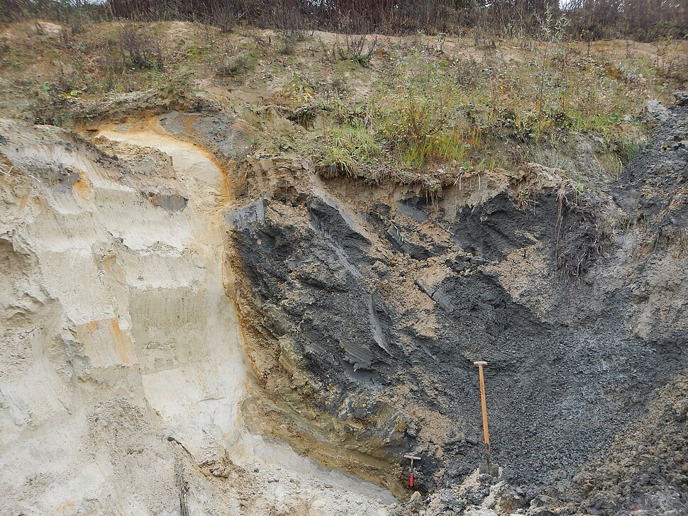 Heller Sand und dunkelgrauer Ton nebeneinander im Bodenaufschluss.
