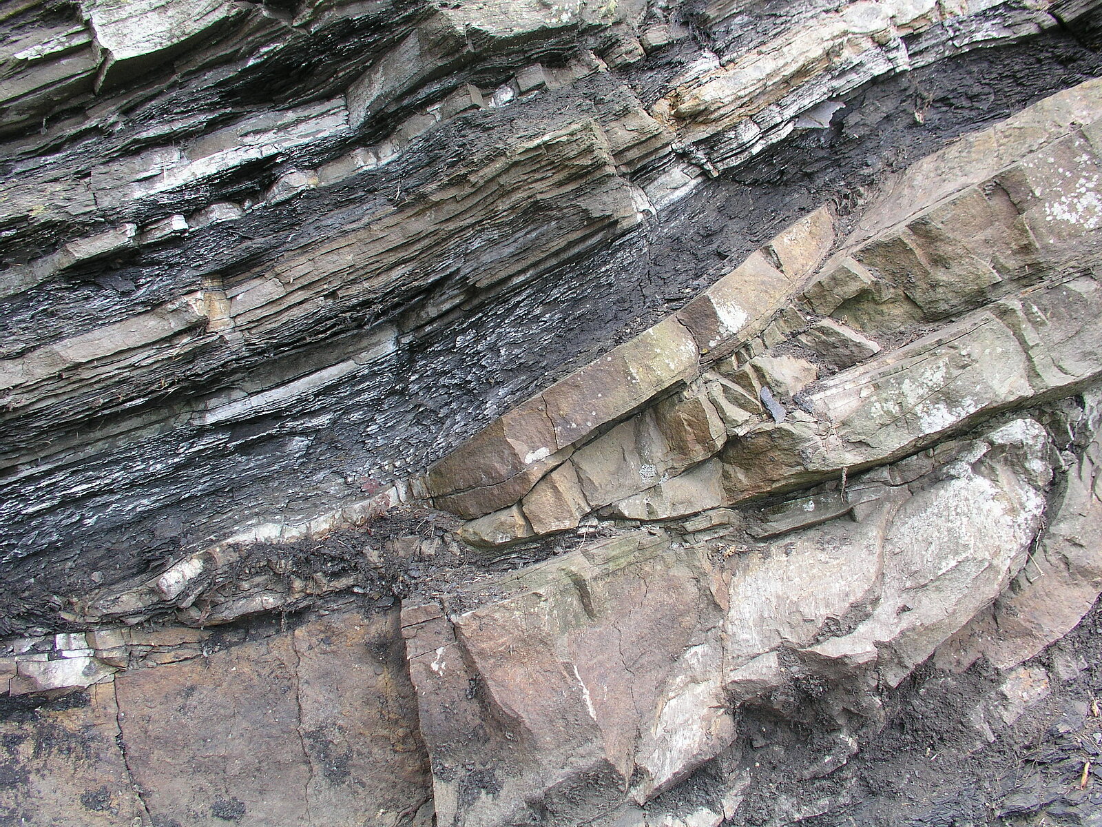 Dunkle blättrige Gesteinsschichten zwischen Sandsstein