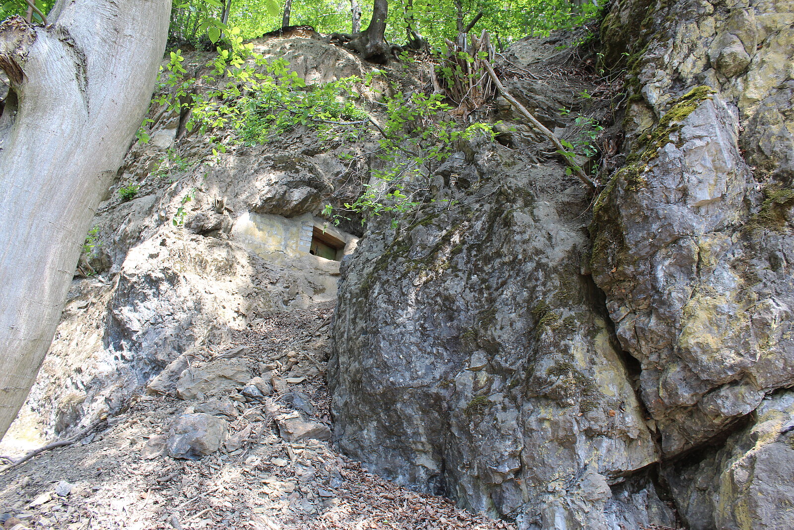 Foto der Felswand mit Höhleneingang
