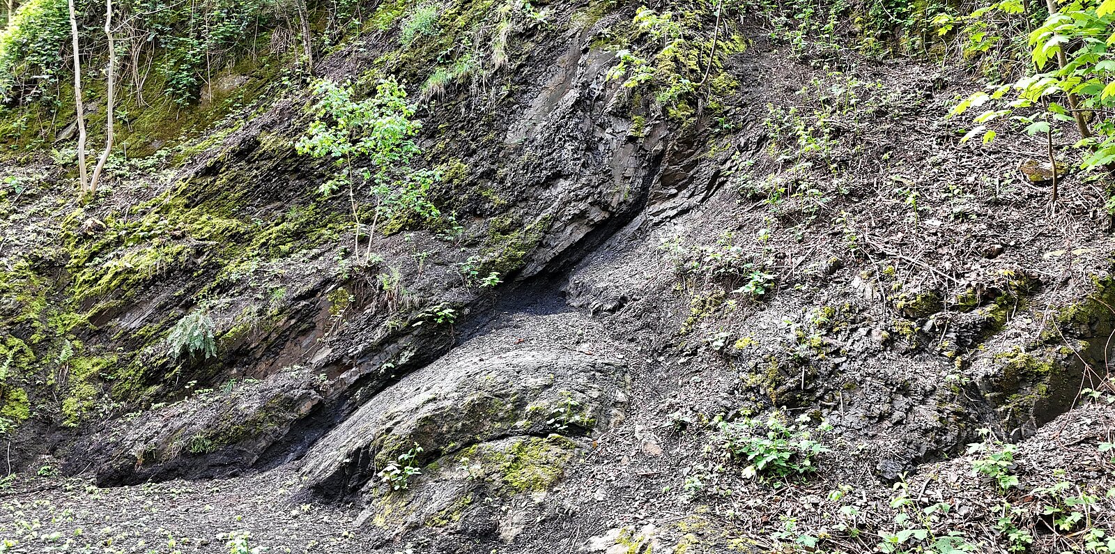 Schräg verlaufendes schmales Steinkohleflöz.