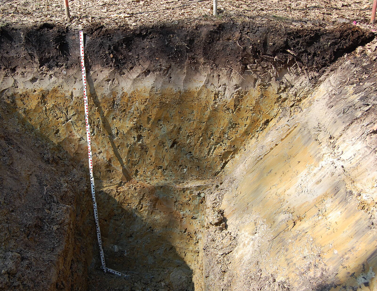 Bodenschichten in Grube: schwarz (oben) hell (Mitte) gelblich (unten)