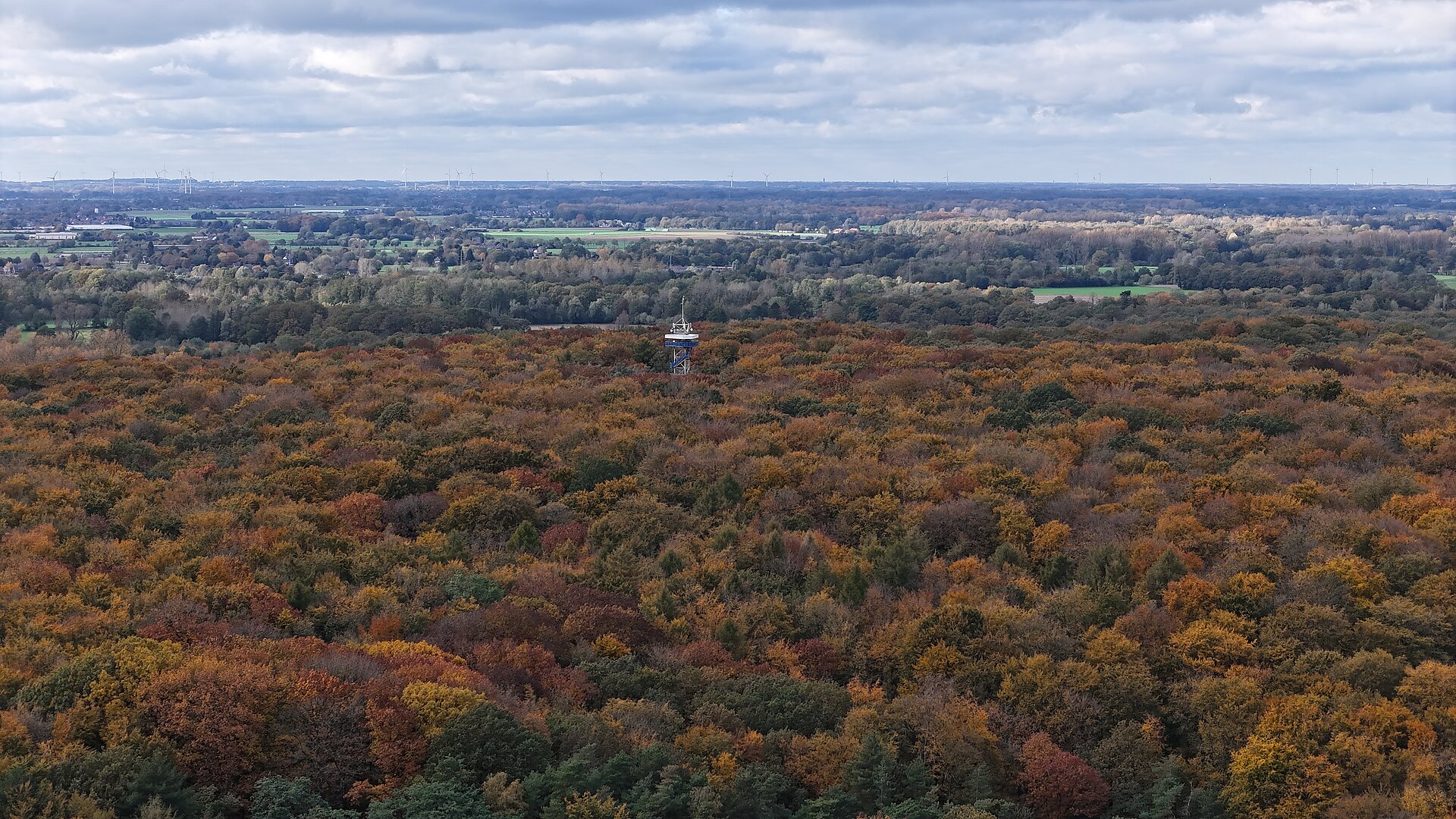 Luftbild mit Aussichtsturm im Wald