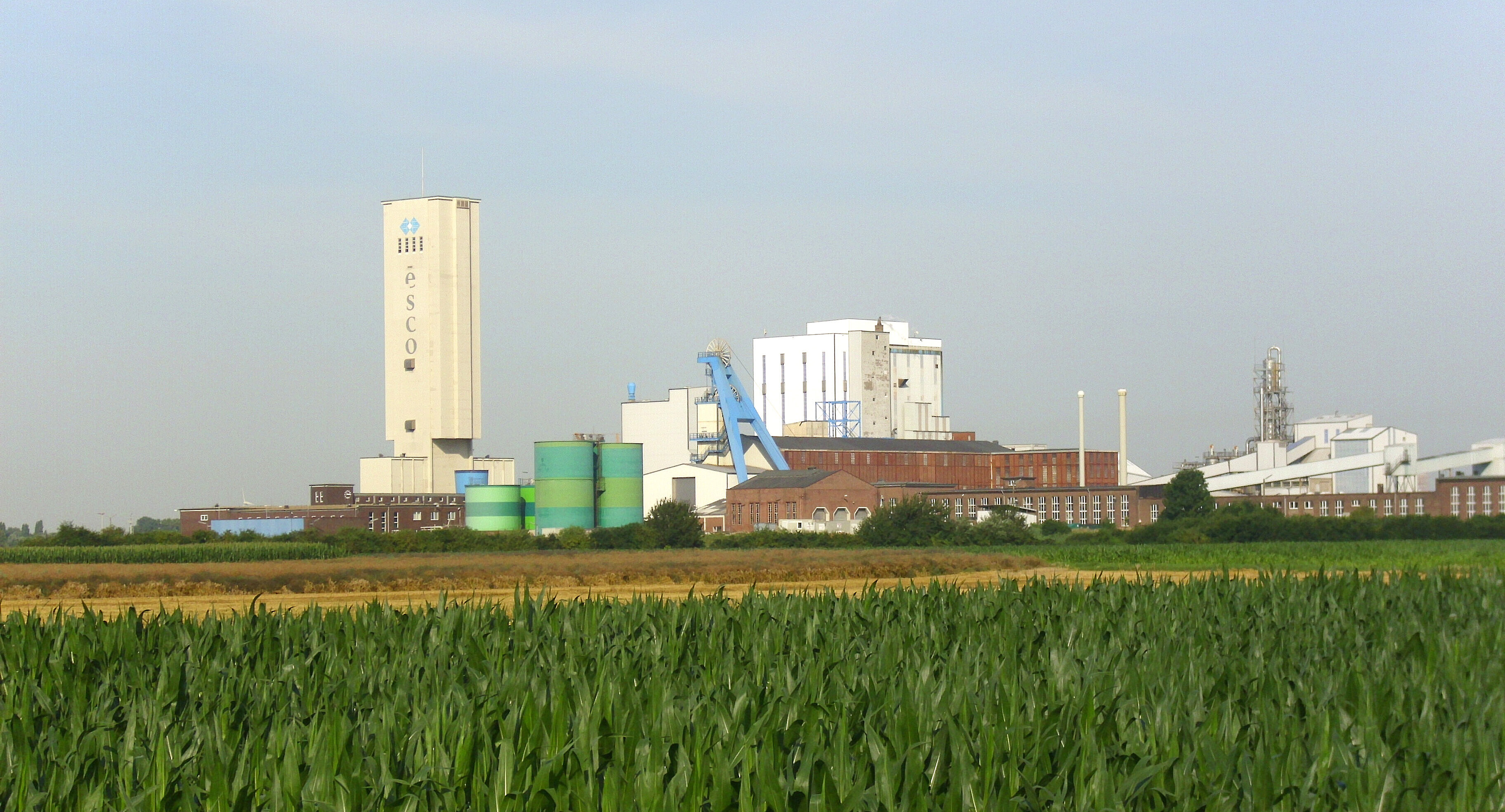 Industriegebäude mit Fördertum hinter Maisfeld