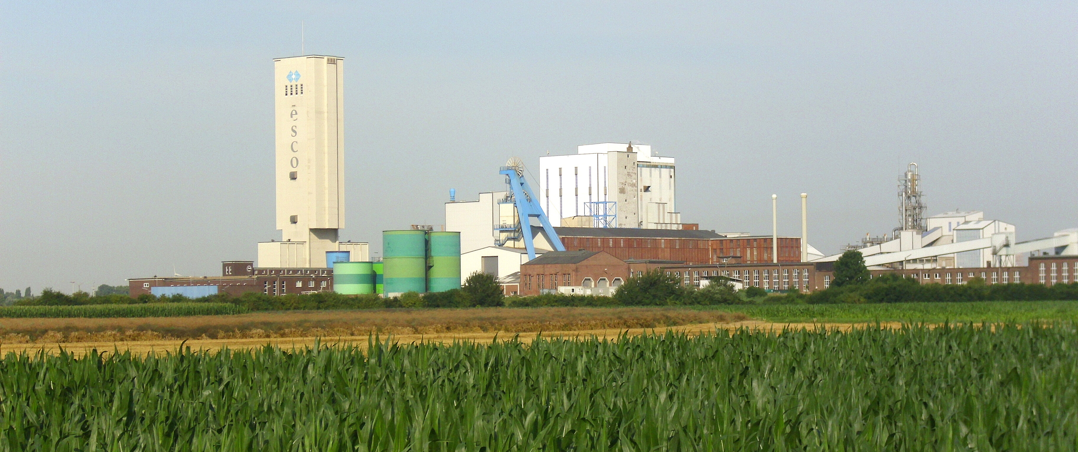Industriegebäude mit Fördertum hinter Maisfeld