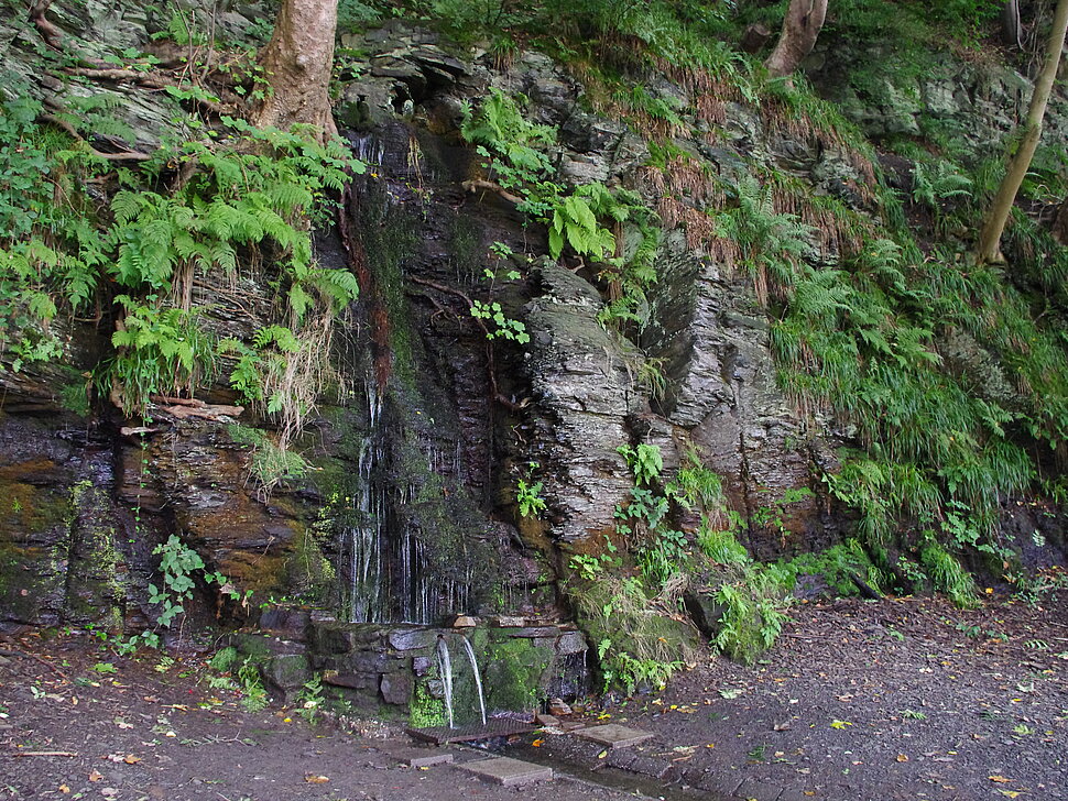 Quelle mit Wasserfall, gemauertem Beckern und Abflußrinne