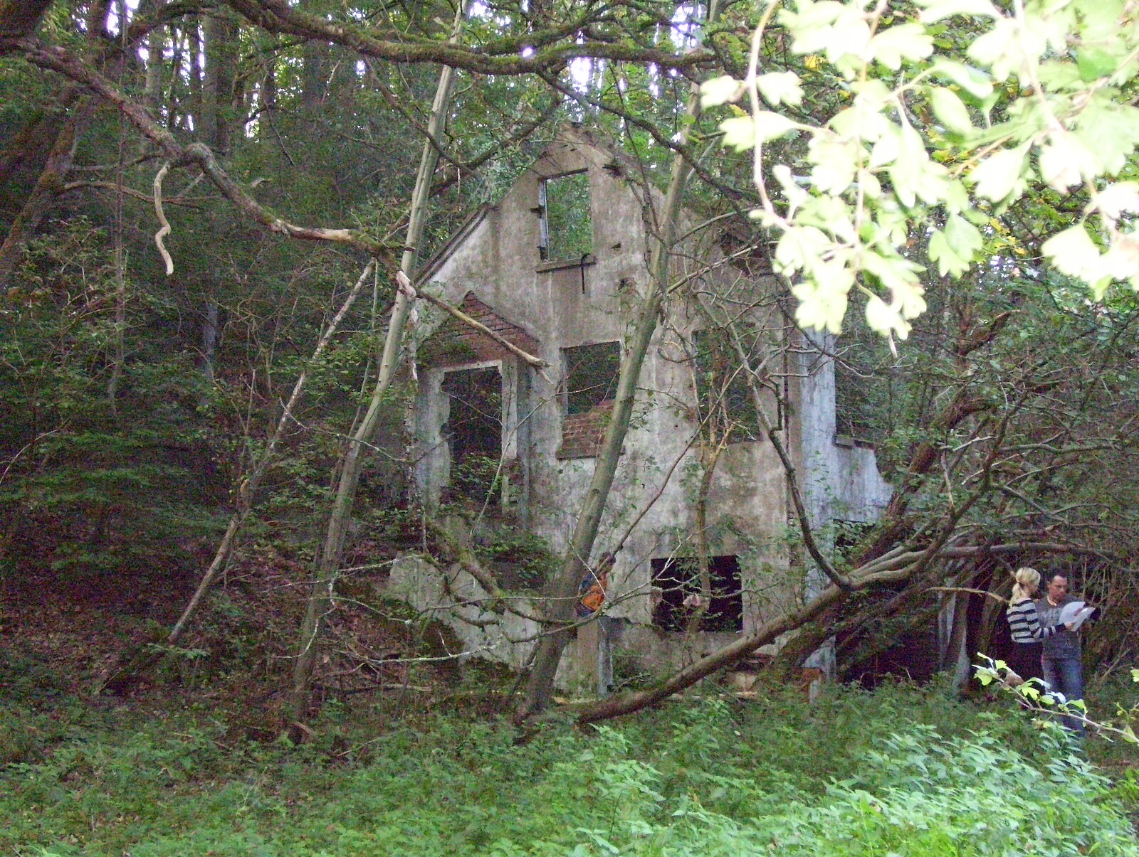 Ruine im Wald