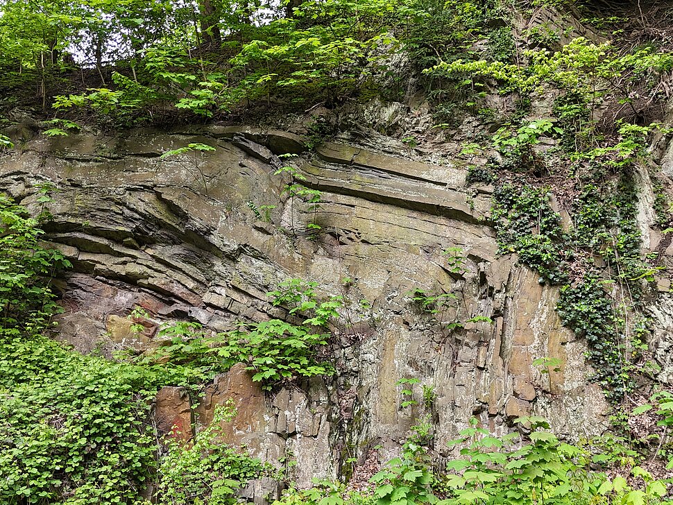 Felswand mit langgestreckter Gesteinsfalte.