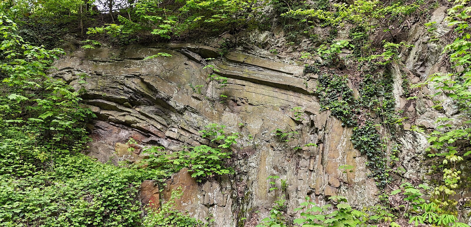 Felswand mit langgestreckter Gesteinsfalte.