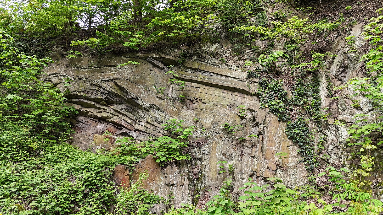 Felswand mit langgestreckter Gesteinsfalte.