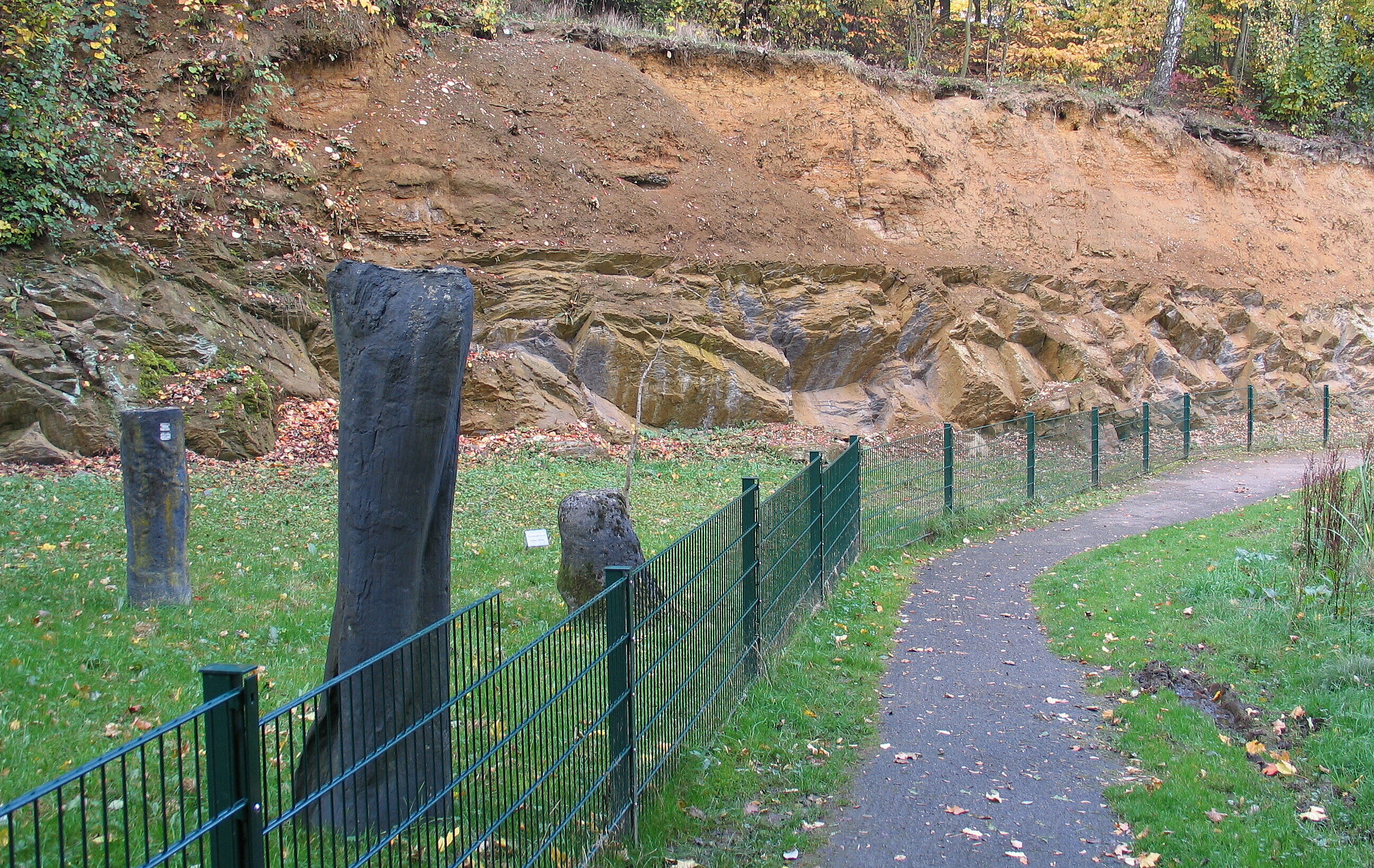 vier dunkle, aufrecht stehende, versteinerte Baumstämme