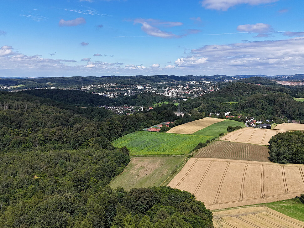 Bewaldeter steil aufragender Bergrücken