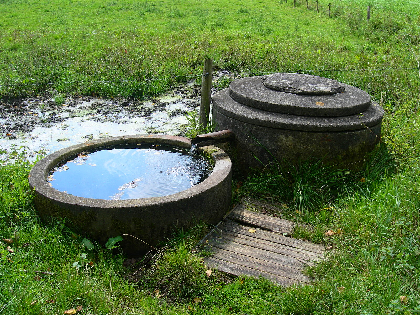 Niedriger runder Brunnen