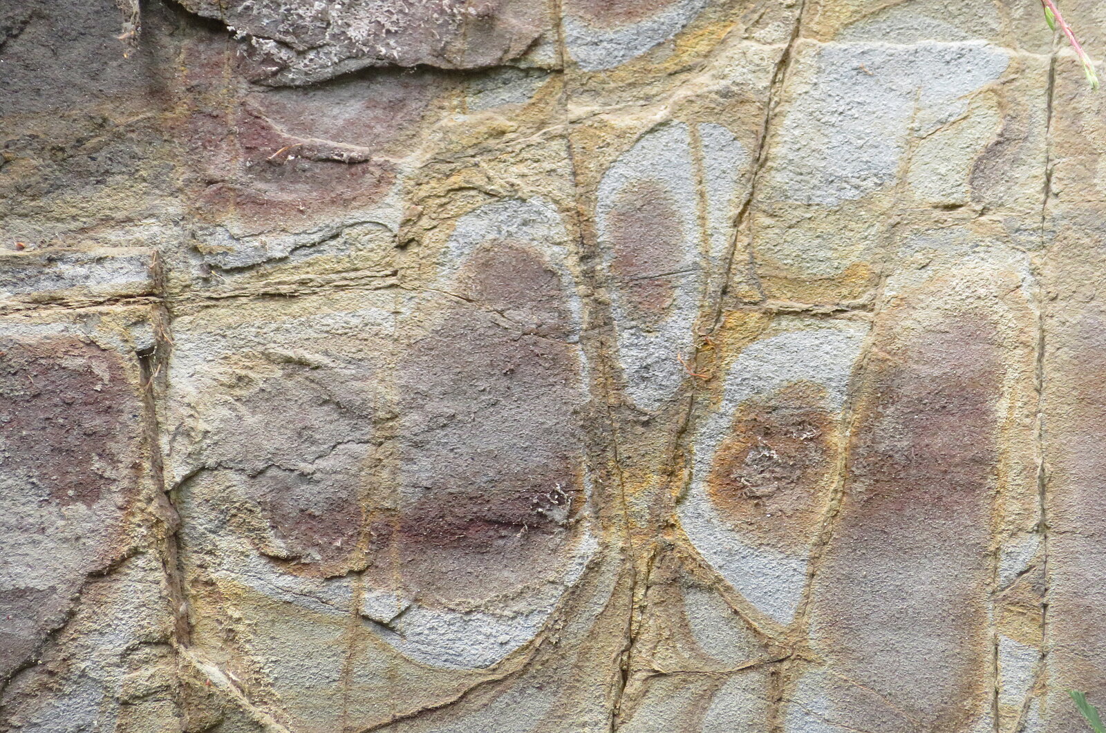 Rundliche Linienmuster in Felswand