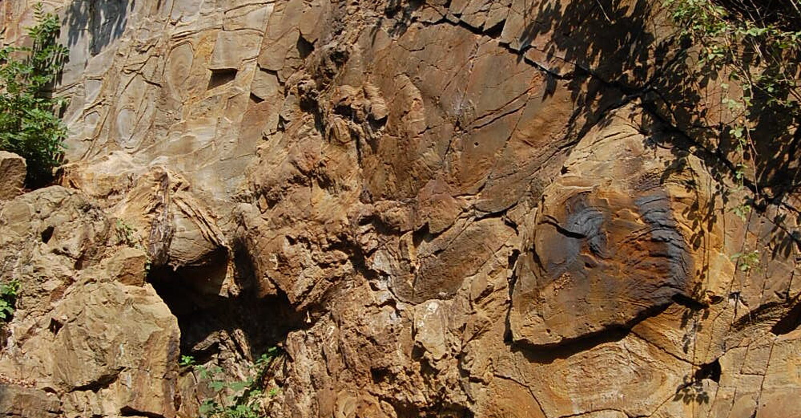 Rundliche Linienmuster in Felswand