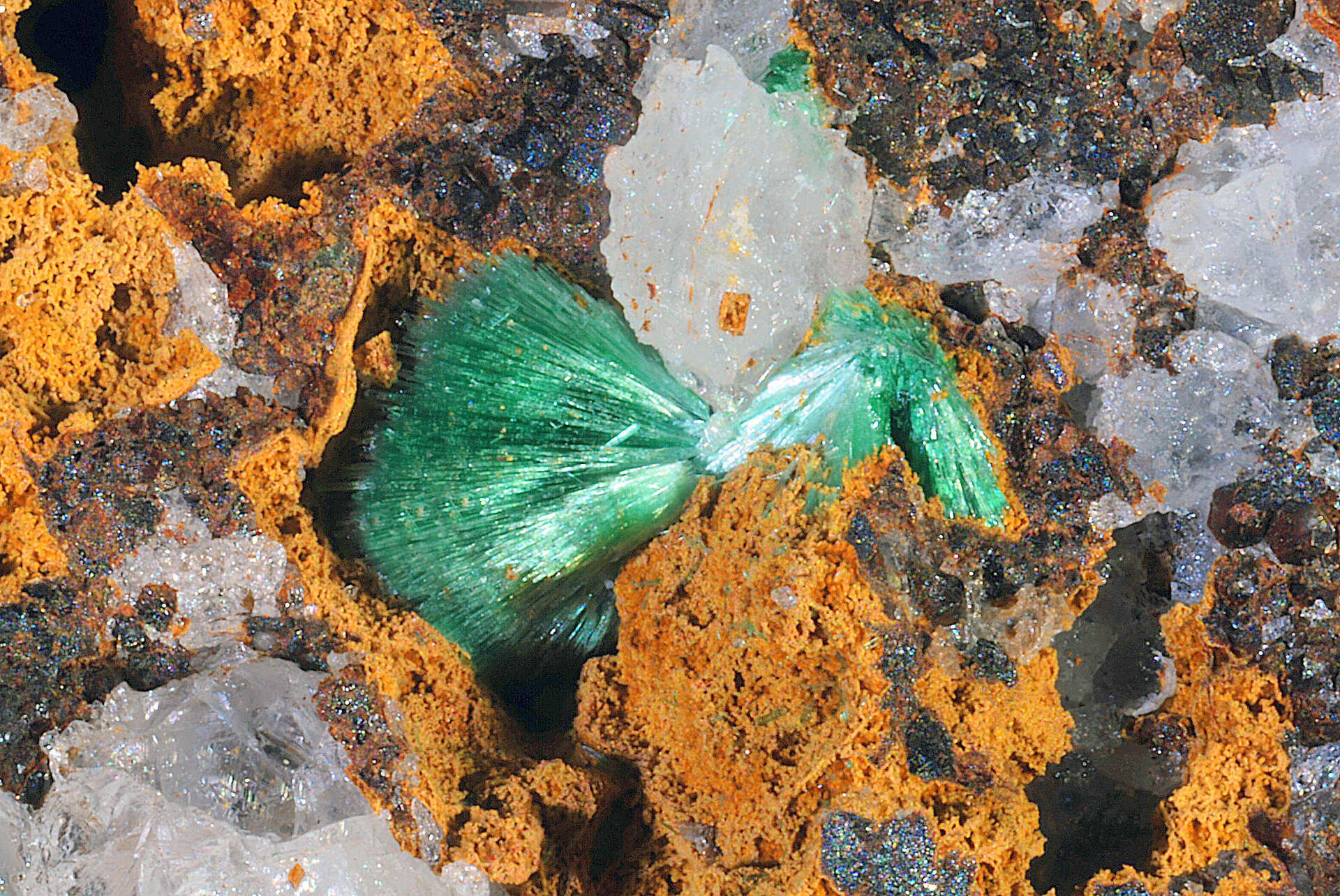 Grüne Nadeln zwischen orangen und weißen Mineralien