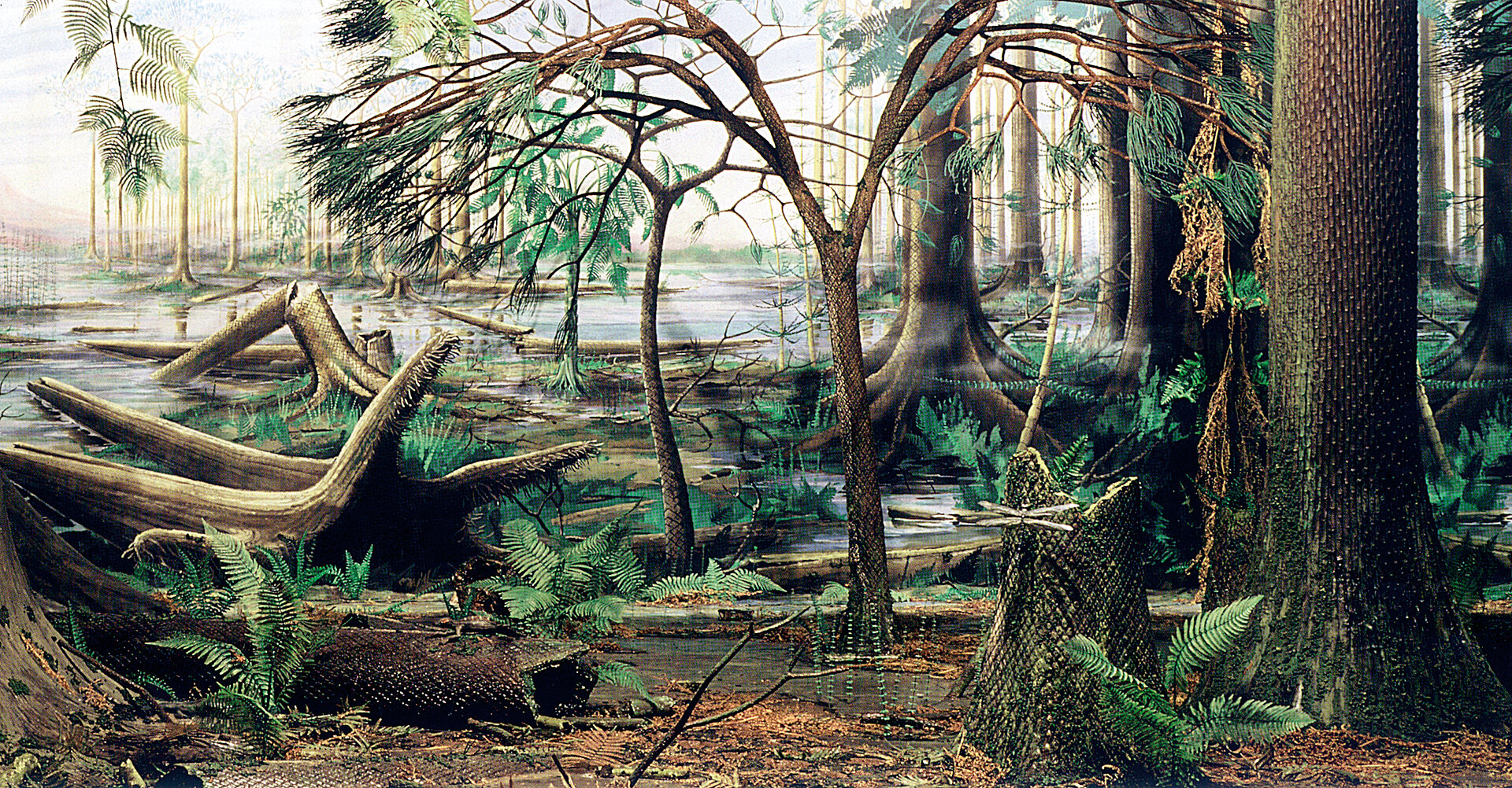 Wald 
