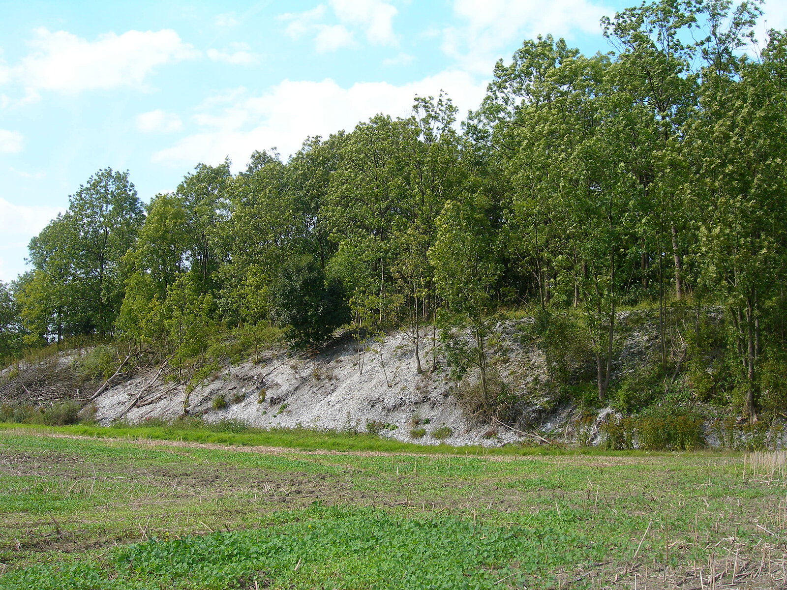 Anbhang mit hellem zu Tage tretendem Gestein