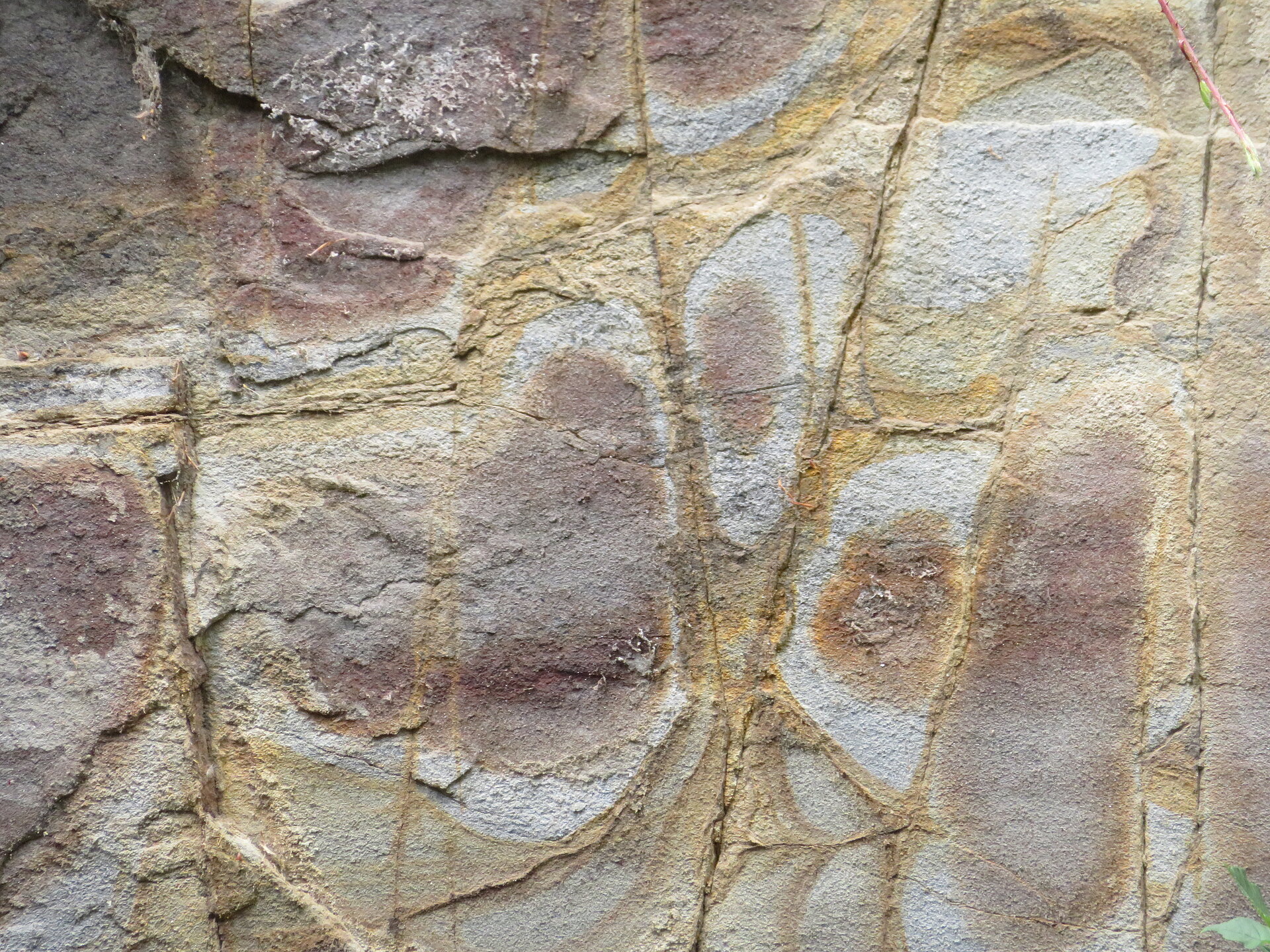 Rundliche Linienmuster in Felswand