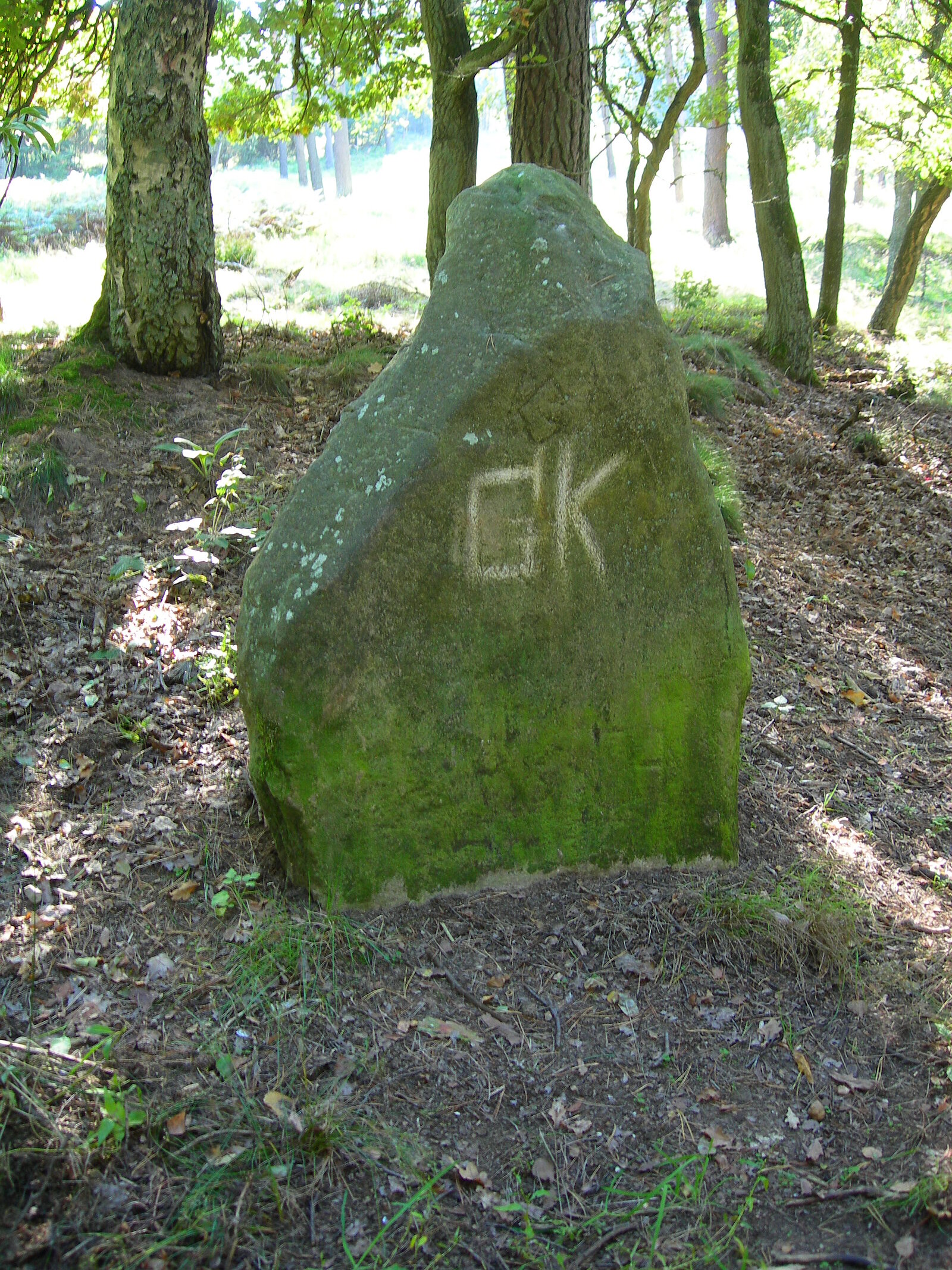 Findling im Waald