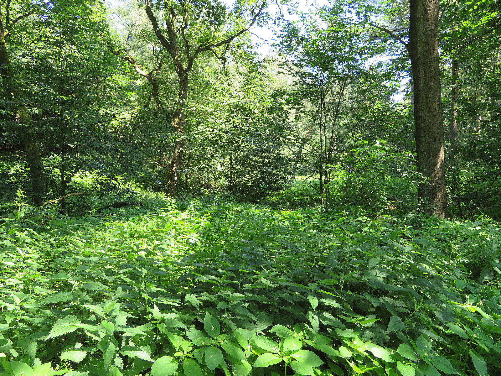 Fahrrad, Bank, Infotafel