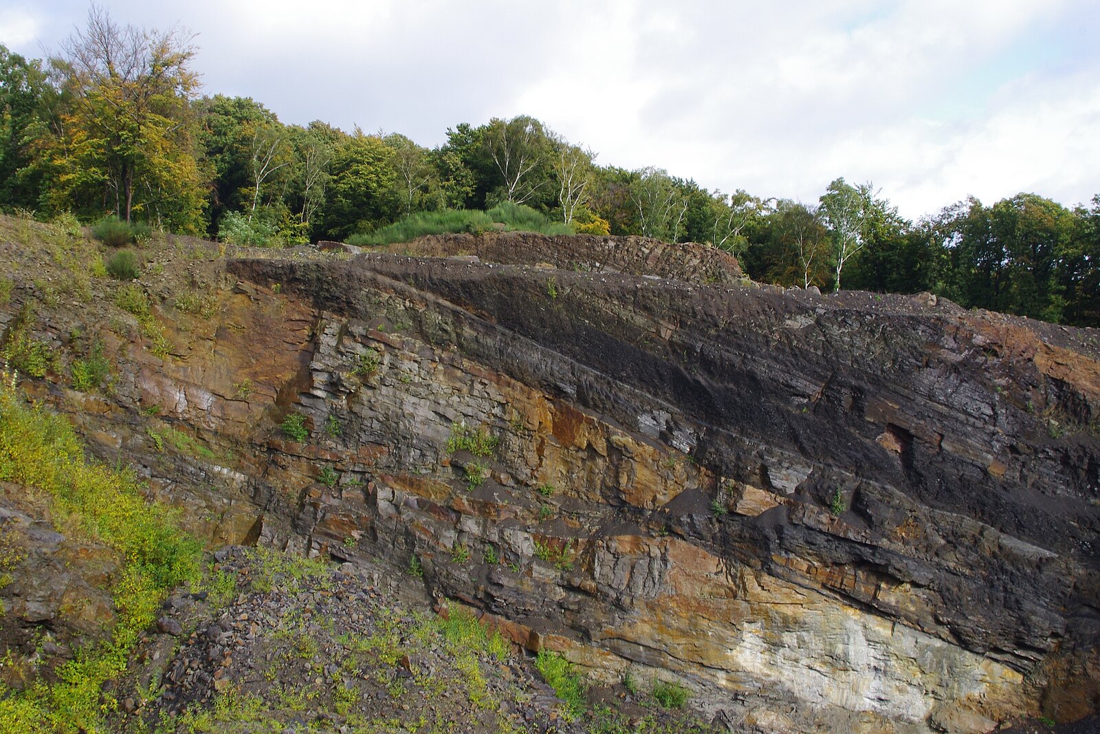 Steinbruchwand mit schräg stehenden Gesteinsschichten