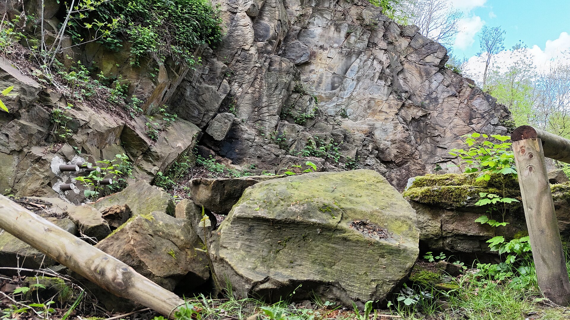 Fossil vor Aufschluss