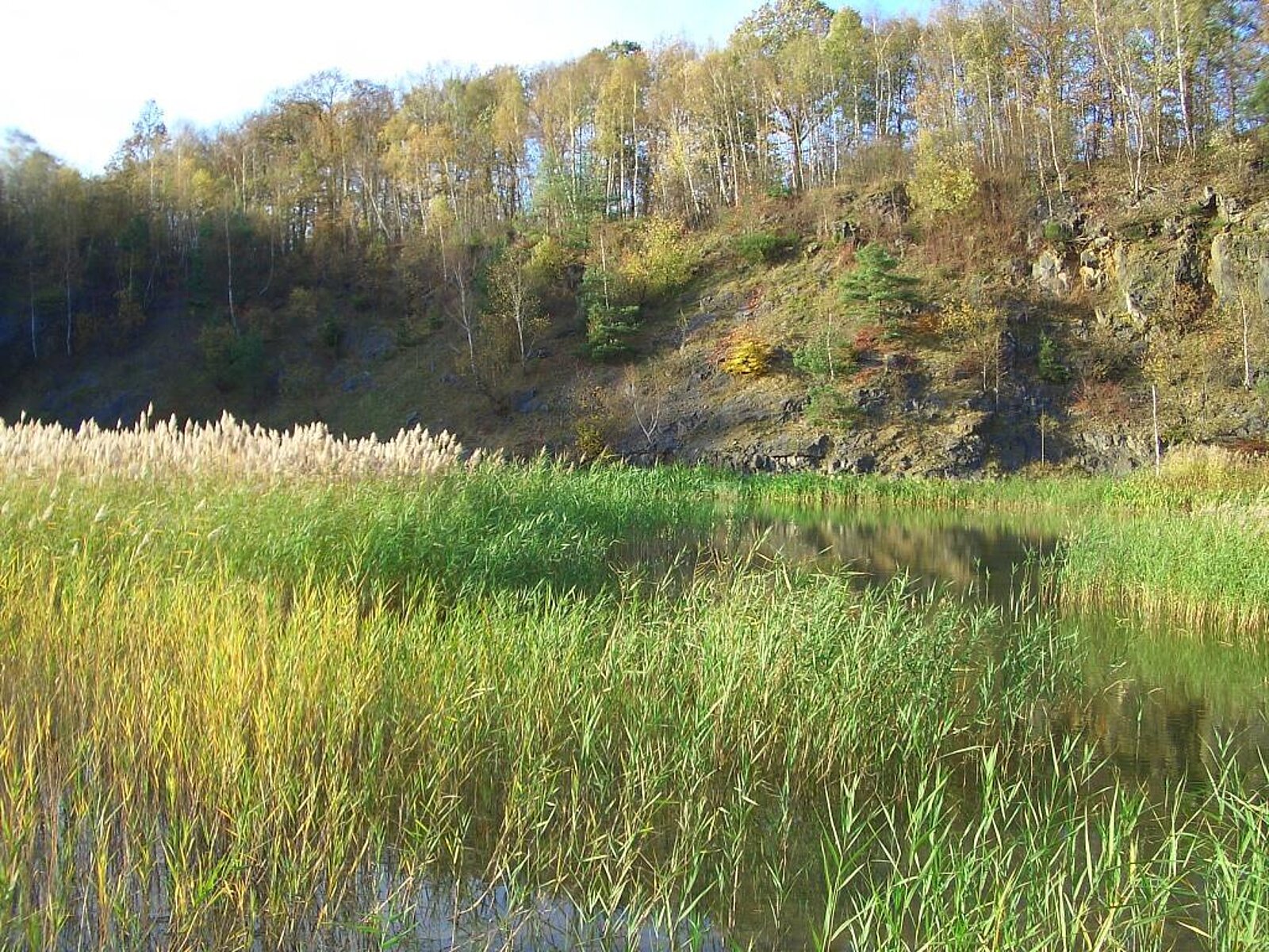 See mit Schilf und Felswand im Hintergrund