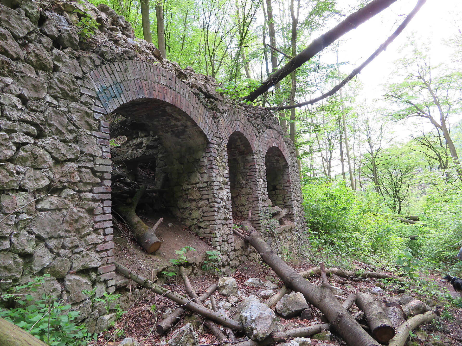 Ruine im Wald