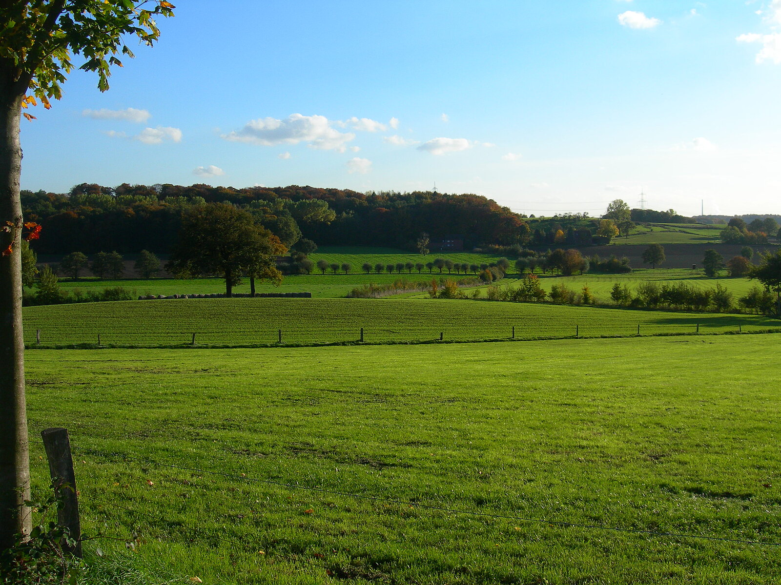 Hügelige Wiesenlandschaft