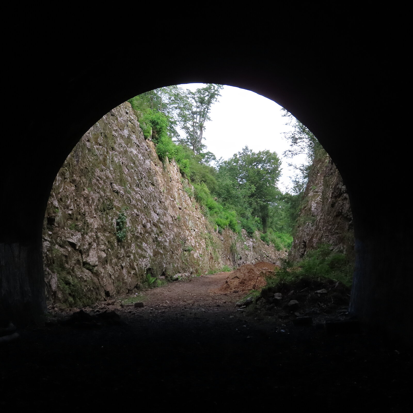 Blick aus Tunnel auf Felswand