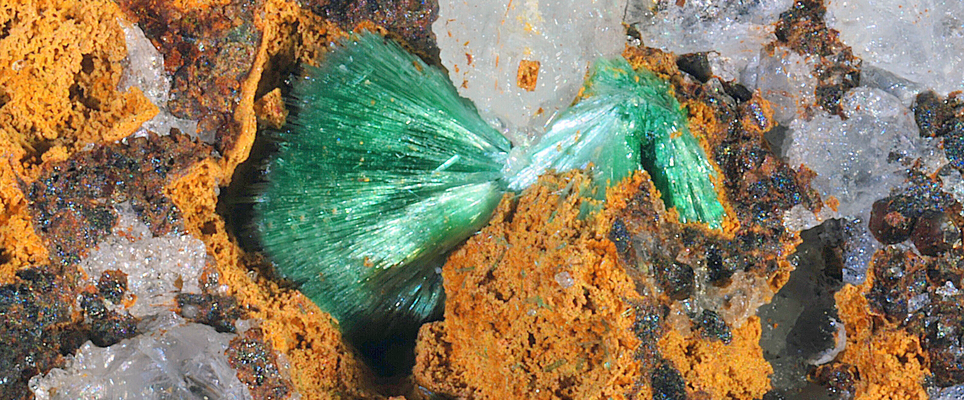 Grüne Nadeln zwischen orangen und weißen Mineralien