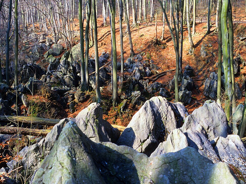 Helle Felsen in Herbstlandschaft