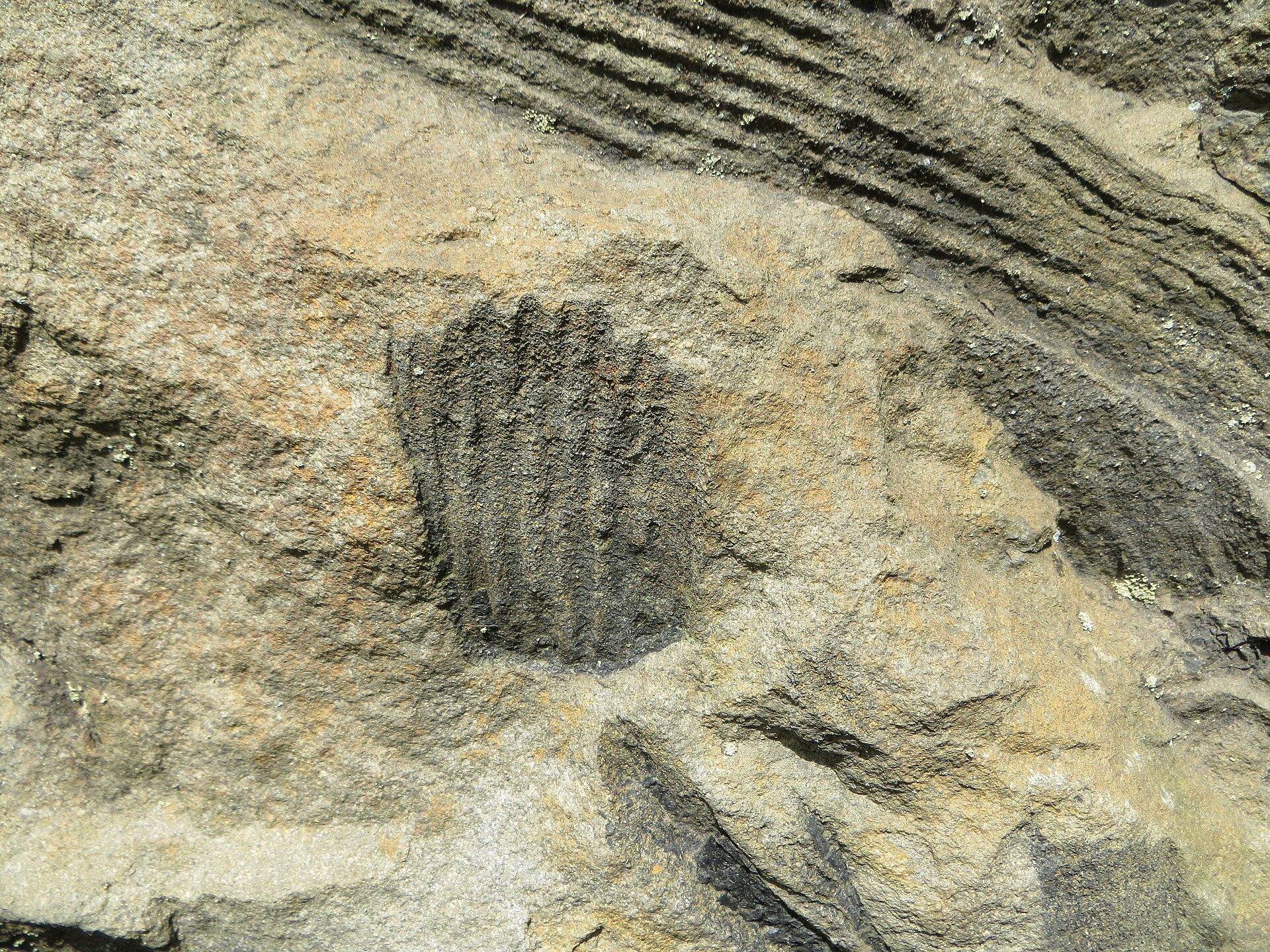 rundlicher und länglicher gestreifter, dunkler Abdruck in Felswand