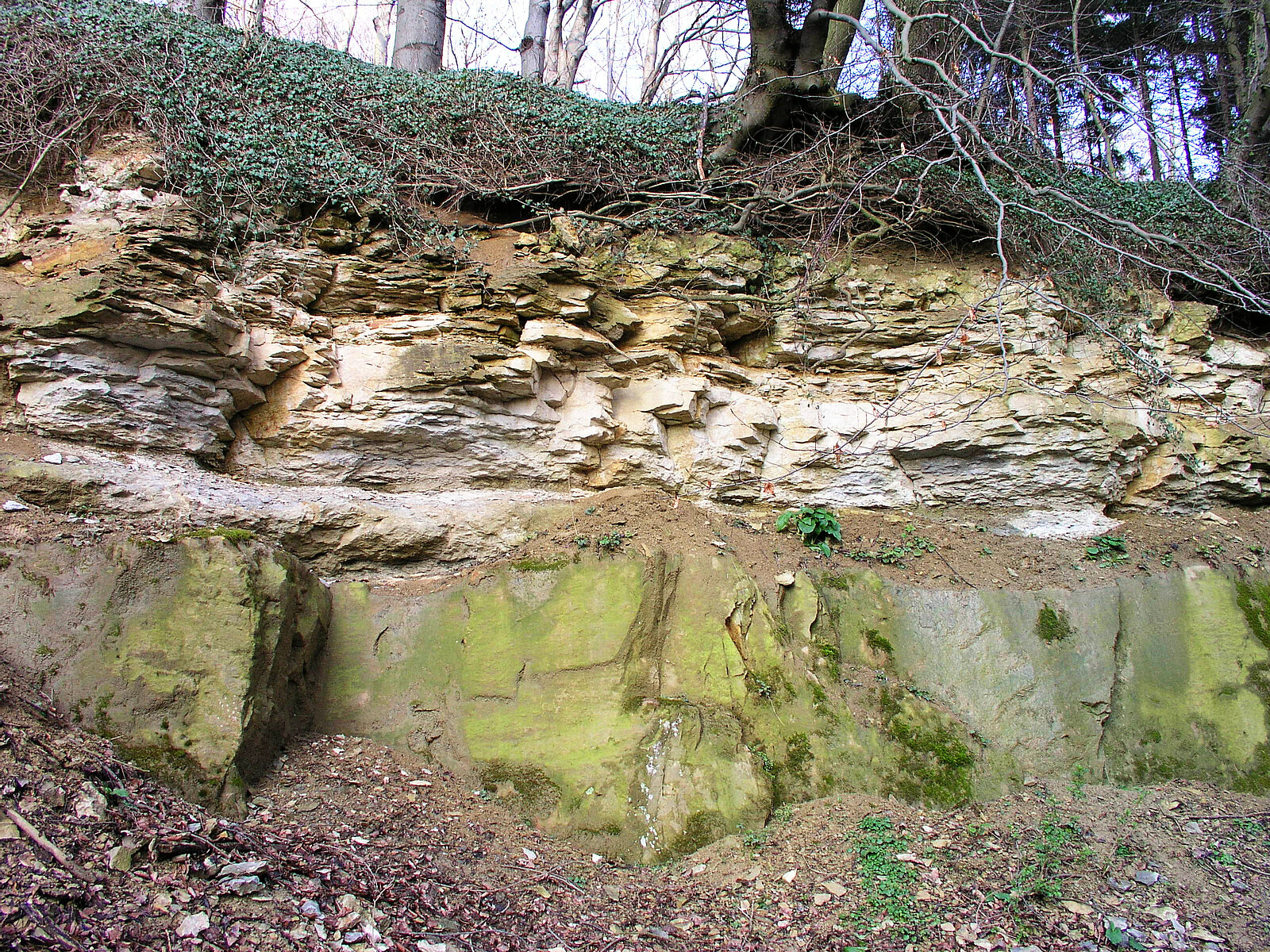 Steinbruch mit dunkelbraunen Sandsteinen im unteren Bereich und hellen Kalksteinen im oberen Bereich