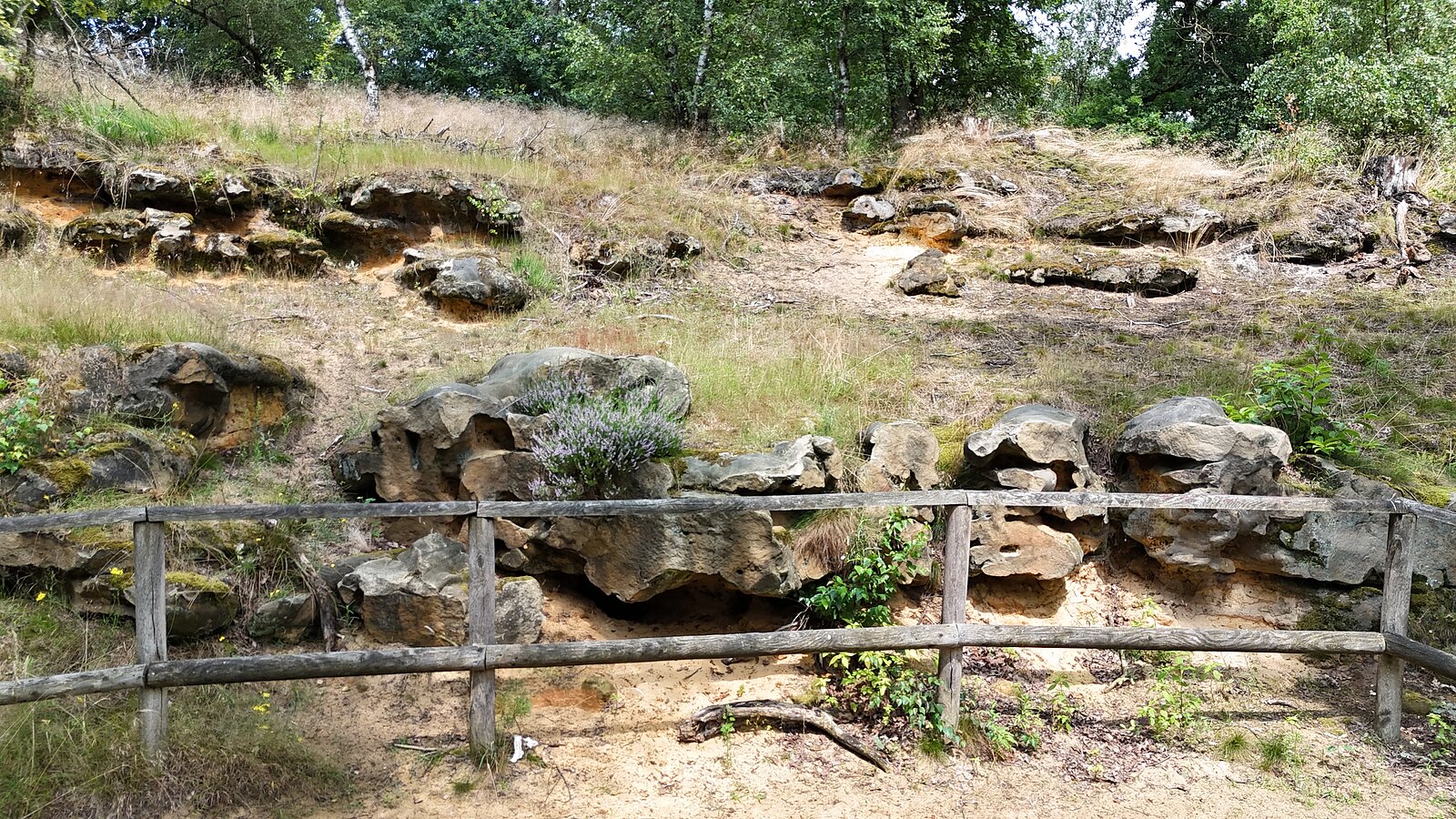gelb-rötlicher Sandstein mit Löchern