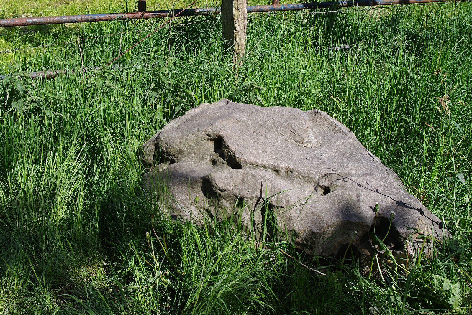 kleinerer Felsblock im Gras