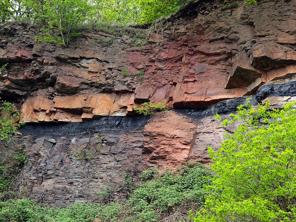 Steinkohleflöz in rötlicher Felswand