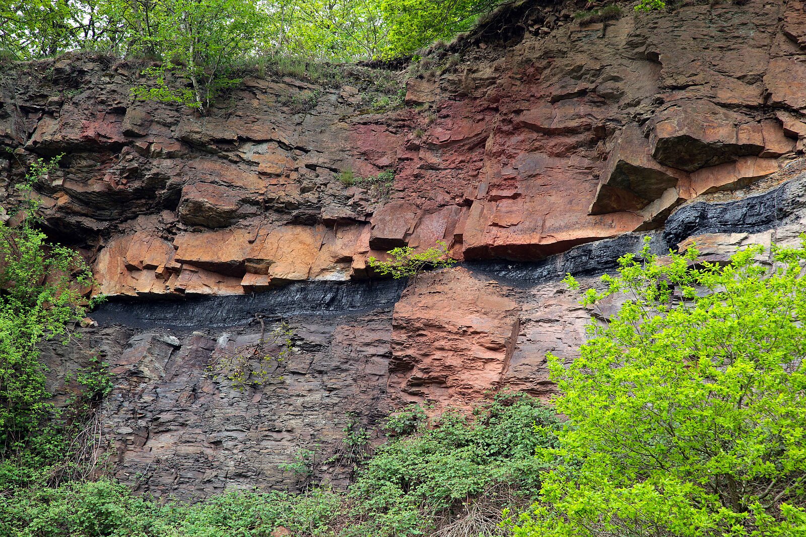 Steinkohleflöz in rötlicher Felswand