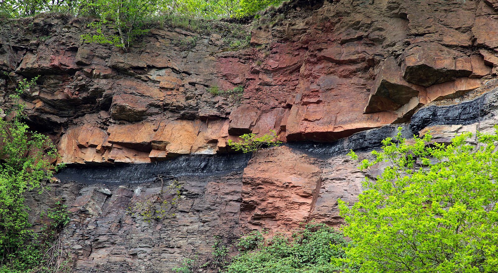 Steinkohleflöz in rötlicher Felswand