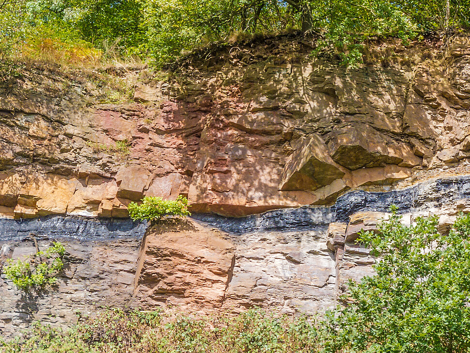 Steinbfuchwand mit Flöz.