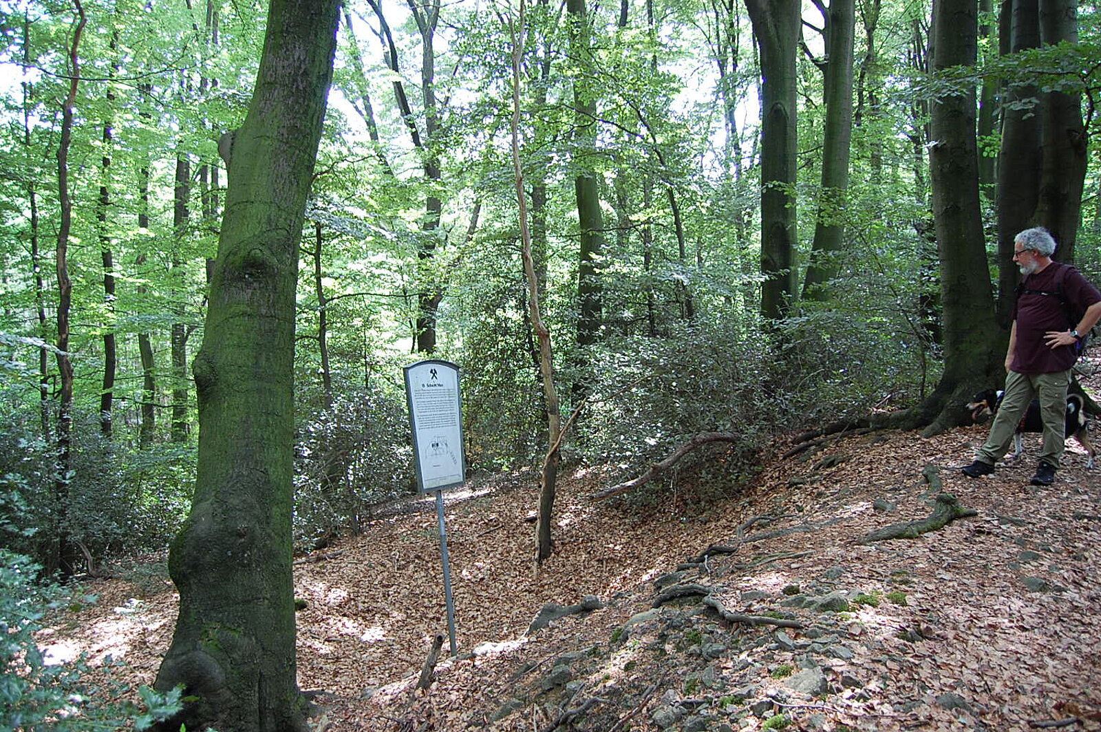 Mann und Infotafel an Vertiefung im Wald