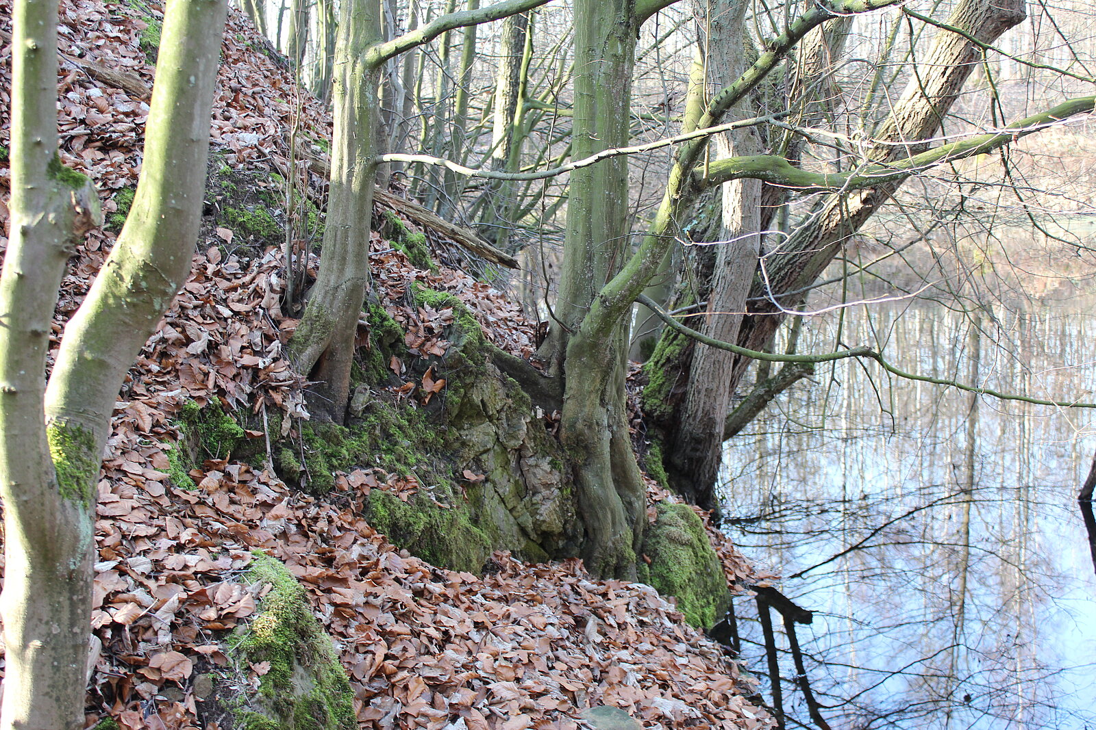 Felsen im Wald neben See