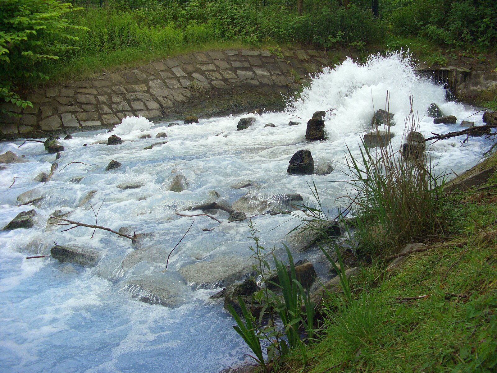 Harpener Teiche