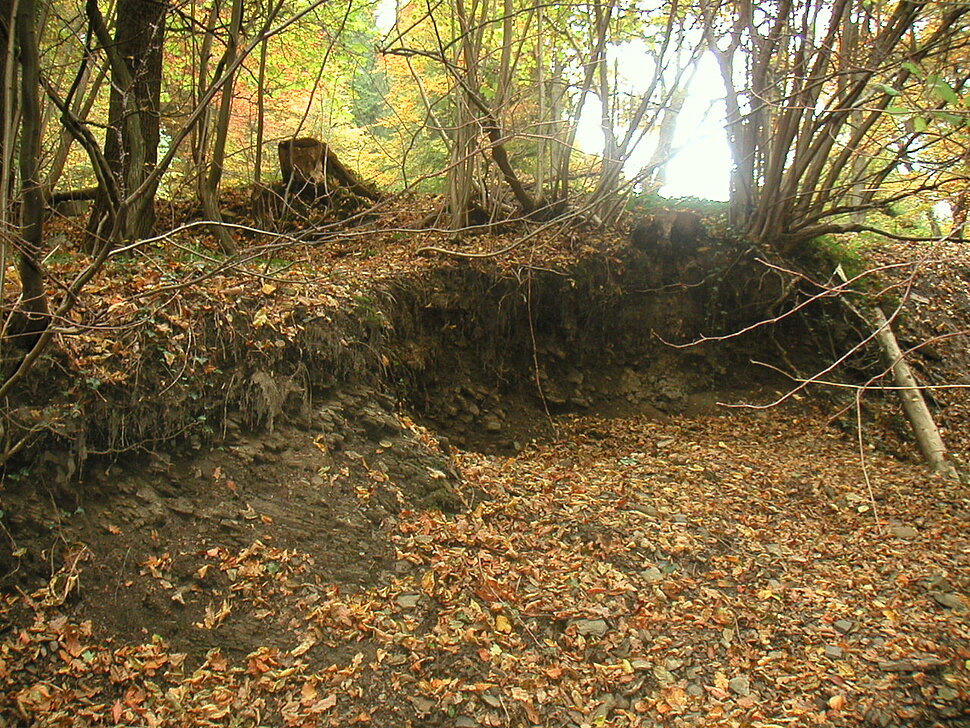 Kleiner Aufschluss von Gesteinsschichten im Wald