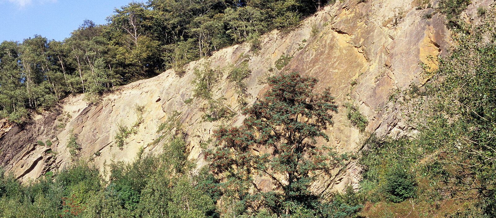 Felswand